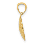 14k Gold Polished Filigree Sand Dollar Pendant - Product Photo