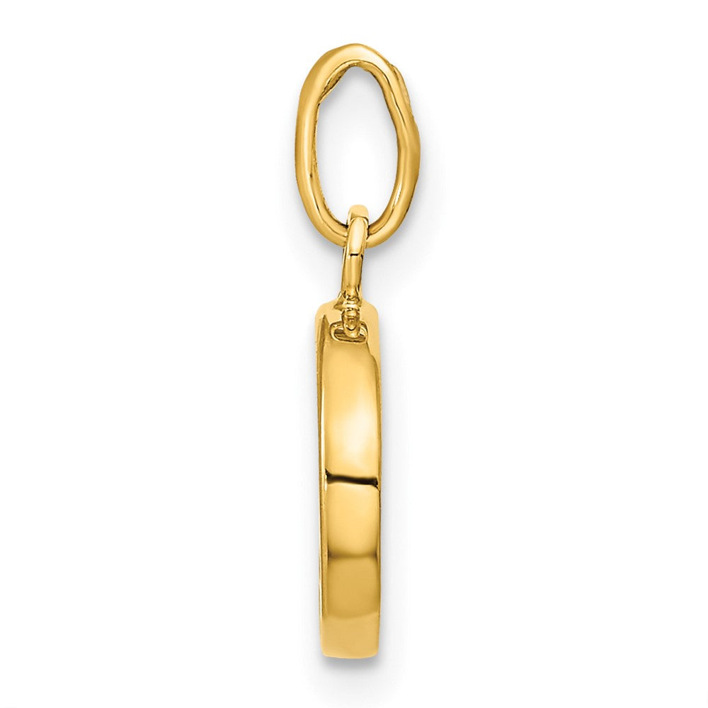 14K Yellow Gold Polished Black/White Enamel Yin and Yang Pendant - Product Photo