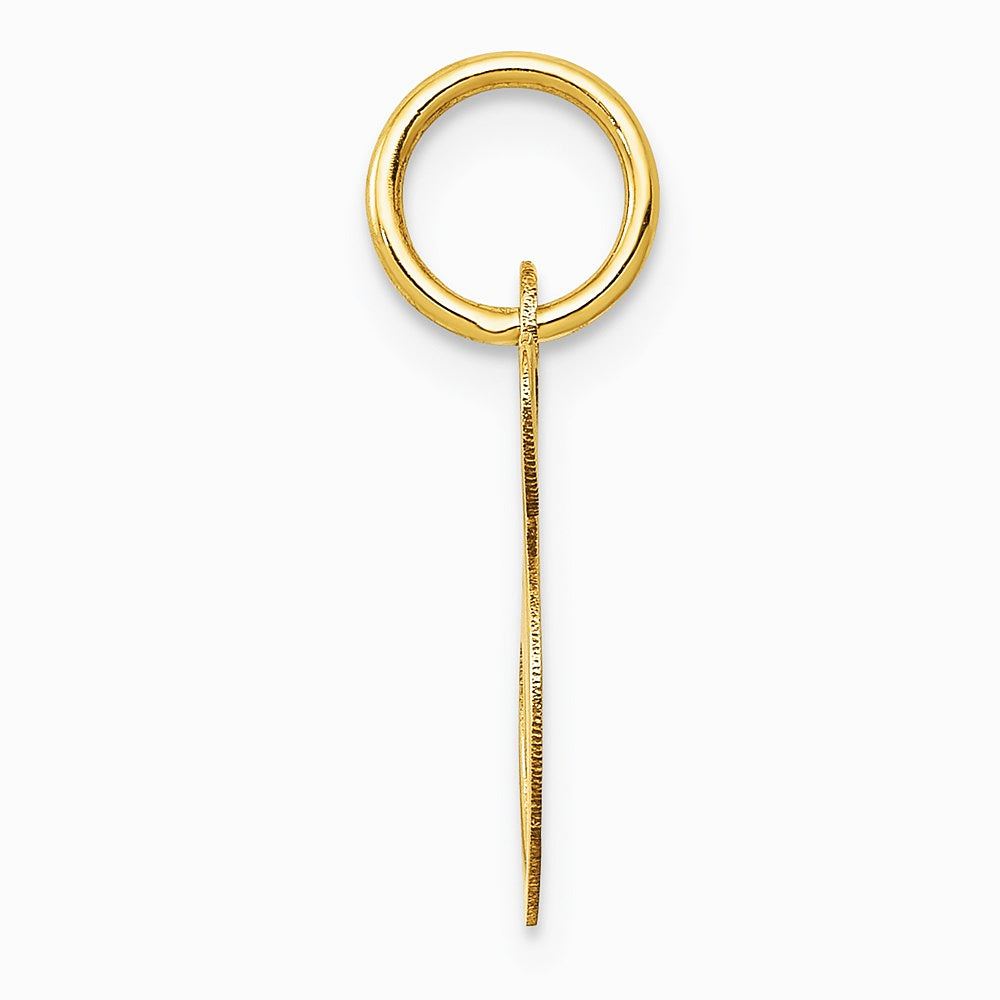 10K / 14K Yellow Gold Medium Fancy Script Initial S Charm - Product Photo