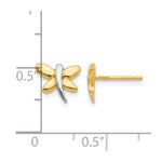 14k with Rhodium Polished Dragonfly Post Earrings - Product Photo