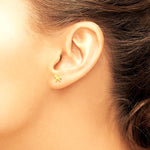 14K Yellow Gold Polished Horse Post Earrings - Product Photo