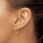 14K Yellow Gold Polished and Satin Diamond-cut Hoop Earrings - Product Photo