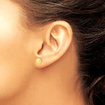 14K Yellow Gold Polished Sun with Enameled Back Post Earrings - Product Photo