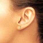 14K Yellow Gold Polished and Diamond-Cut CZ Cross Post Earrings - Product Photo