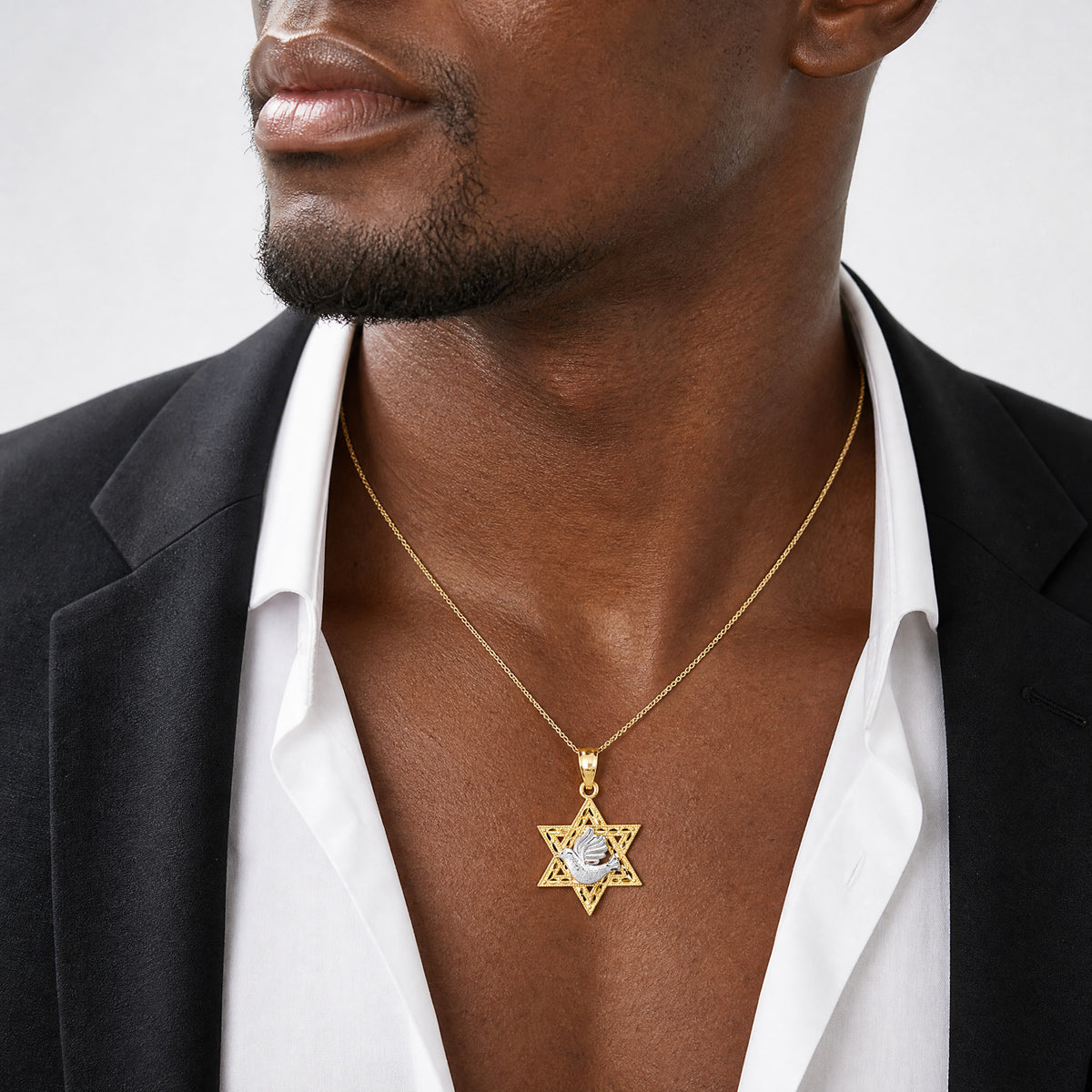 14k Two-tone Textured/Diamond-cut Dove On Star Of David Pendant - Model Shot
