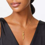 14k Hollow 3D Italian Horn Pendant - Model Shot