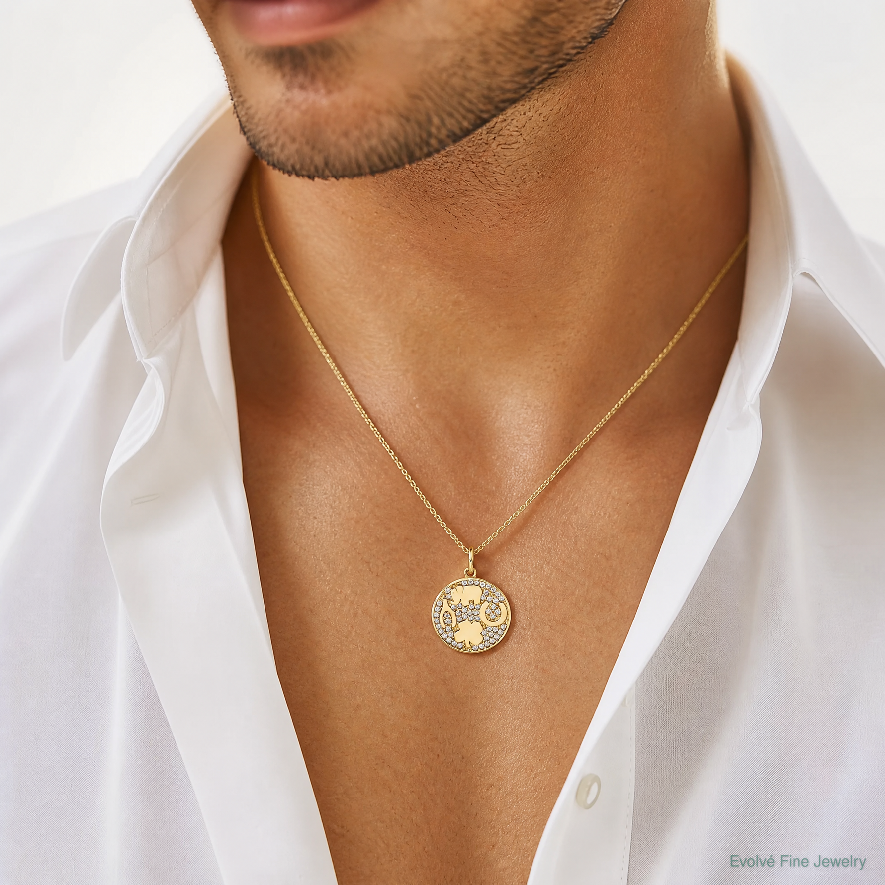 10K Polished CZ Good Luck Medallion Charm - Model Shot