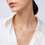 14k Polished Open-Backed Bass Fish Pendant - Model Shot