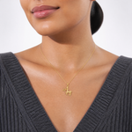 14k 3-D Sagittarius Zodiac Charm - Model Shot