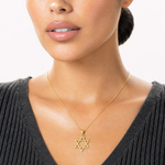 14k Diamond-cut Star of David Pendant - Model Shot
