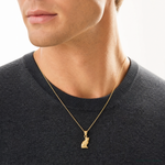 14K Diamond-cut Cat Pendant - Model Shot