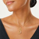 14k Yellow and Rose Polished Diamond-cut Sitting Cats Pendant - Model Shot
