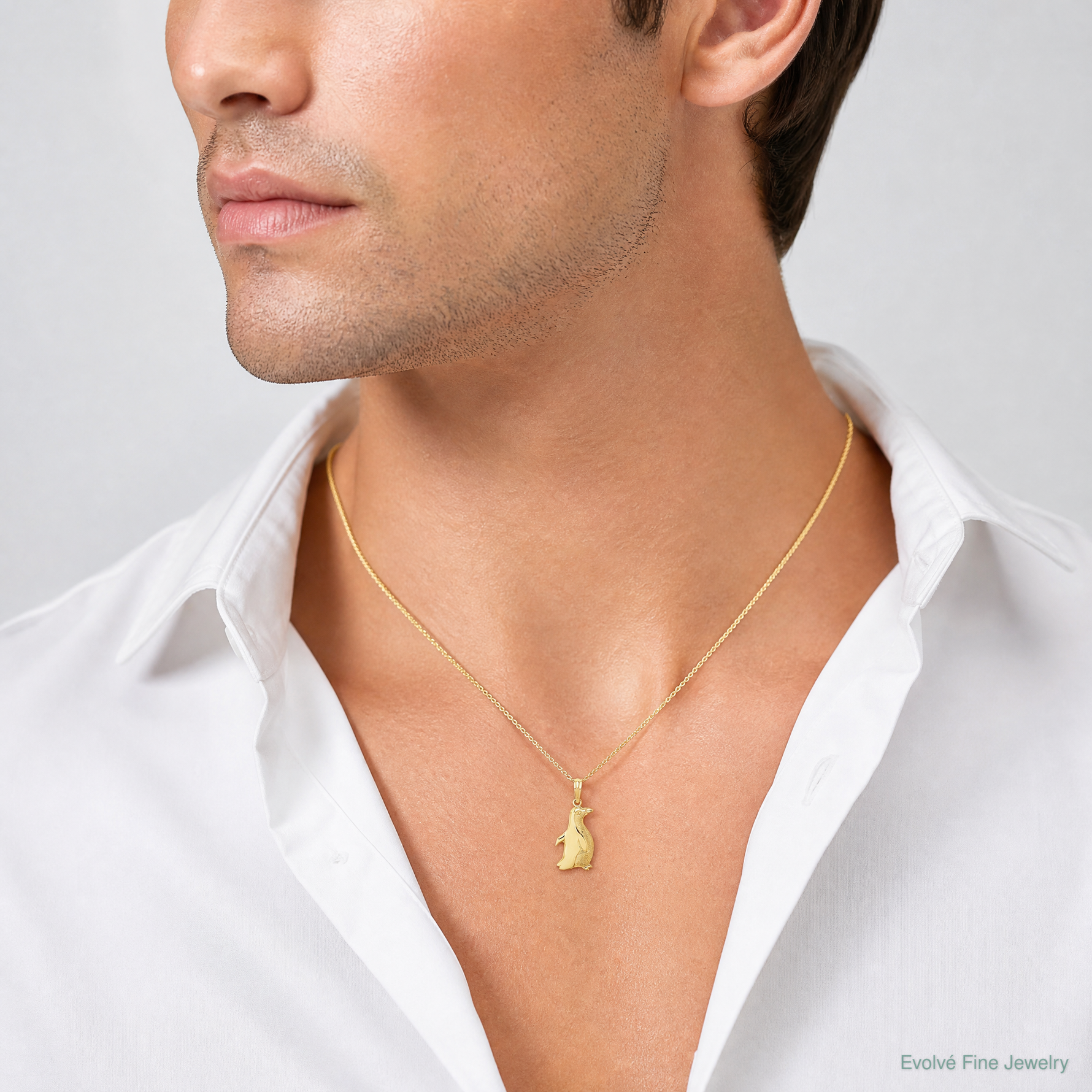 14K 2-D Polished and Textured Penguin Charm - Model Shot