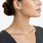 14k Polished Stars in Circle Dangle Post Earrings - Model Shot