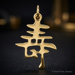 14k Solid Polished Chinese Long Life Charm - Close-up View