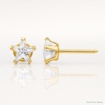 Inverness 14k 4mm Star CZ Post Earrings - Lifestyle View