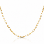 Leslie's 14k 3.0mm Solid Beveled D/C Paperclip Chain - Lifestyle View