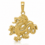 14k Solid Polished Dragon Pendant - Lifestyle View