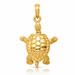 14K Solid Polished 3-D Moveable Turtle Pendant - Lifestyle View