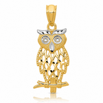 14k w/ Rhodium Owl Pendant - Lifestyle View