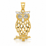 14k Yellow Gold Rhodium Diamond Cut Owl Pendant - Lifestyle View