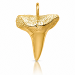 14K Shark Tooth Pendant - Lifestyle View