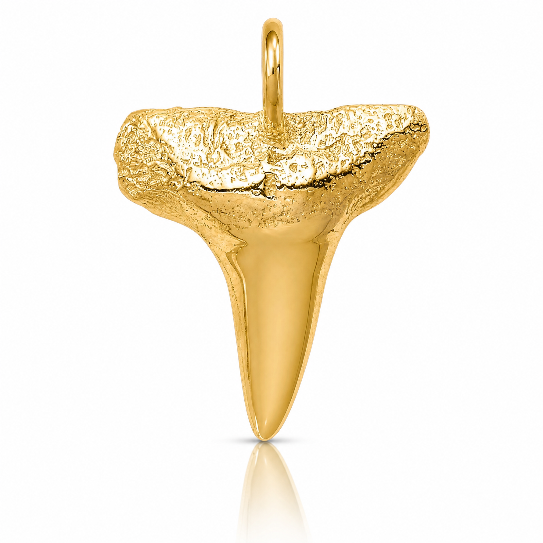 14K Shark Tooth Pendant - Lifestyle View