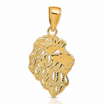 14K Lion Head Pendant - Lifestyle View