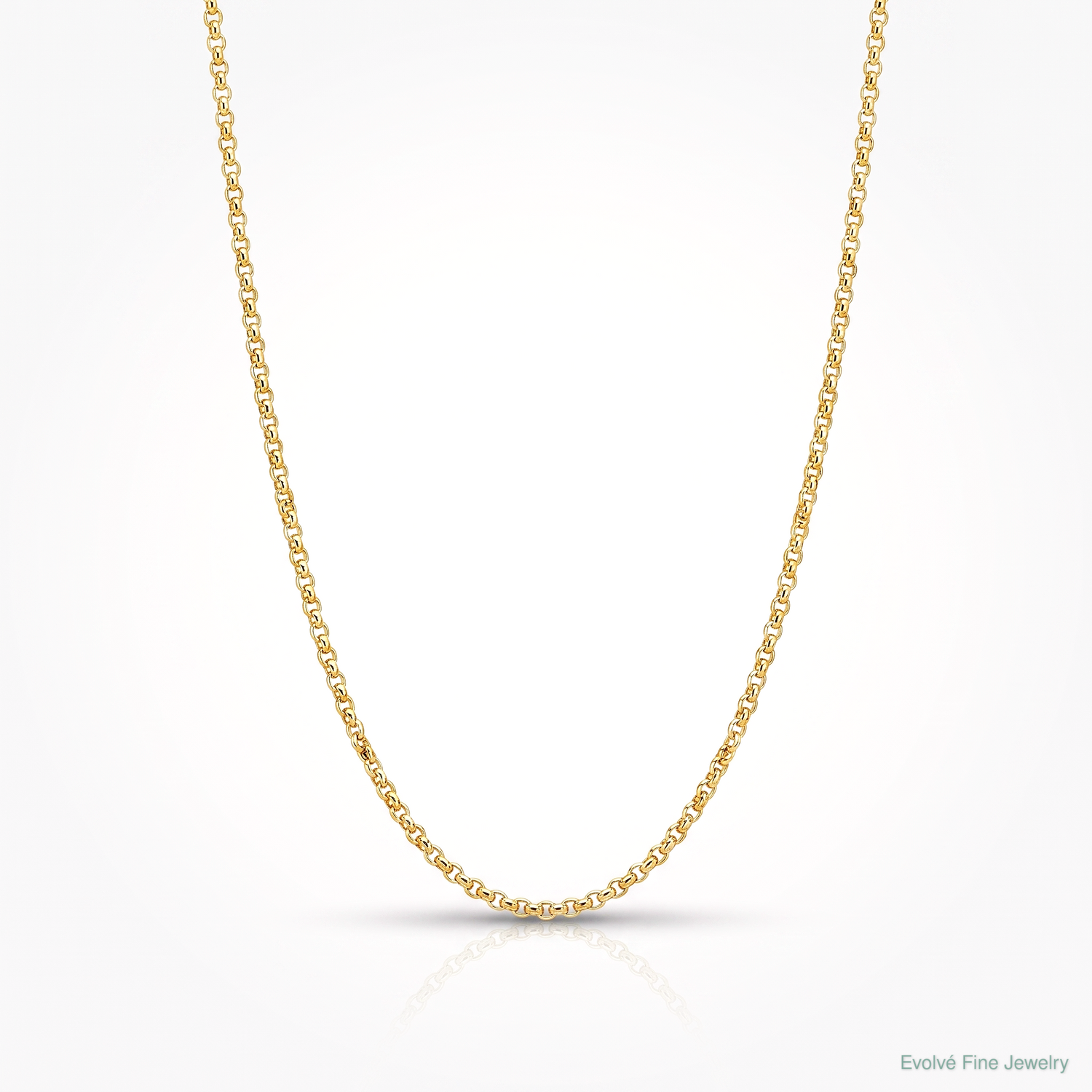 Leslie's Sterling Silver Gold-plated Adjustable .95mm Rolo Chain - Lifestyle View