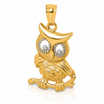 14k & Rhodium Polished & Textured Owl Pendant - Lifestyle View
