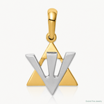 14K Two-tone Star of David w/Shin Charm - Lifestyle View