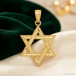 14k Diamond-cut Polished Star of David Pendant - Lifestyle View
