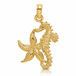 14K Starfish and Seahorse Charm - Lifestyle View