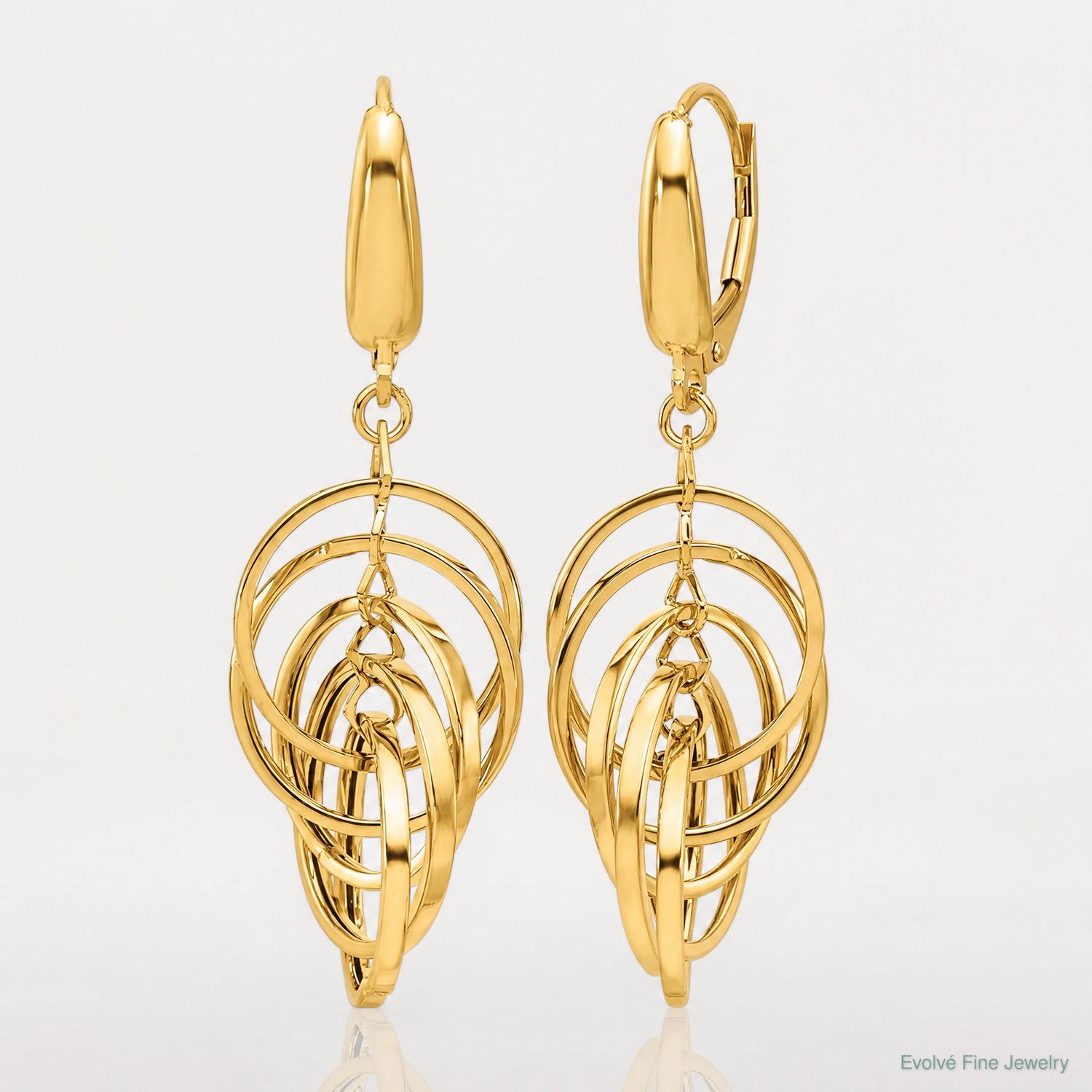 Leslie's 14K Polished Circles Dangle Earrings - Lifestyle View