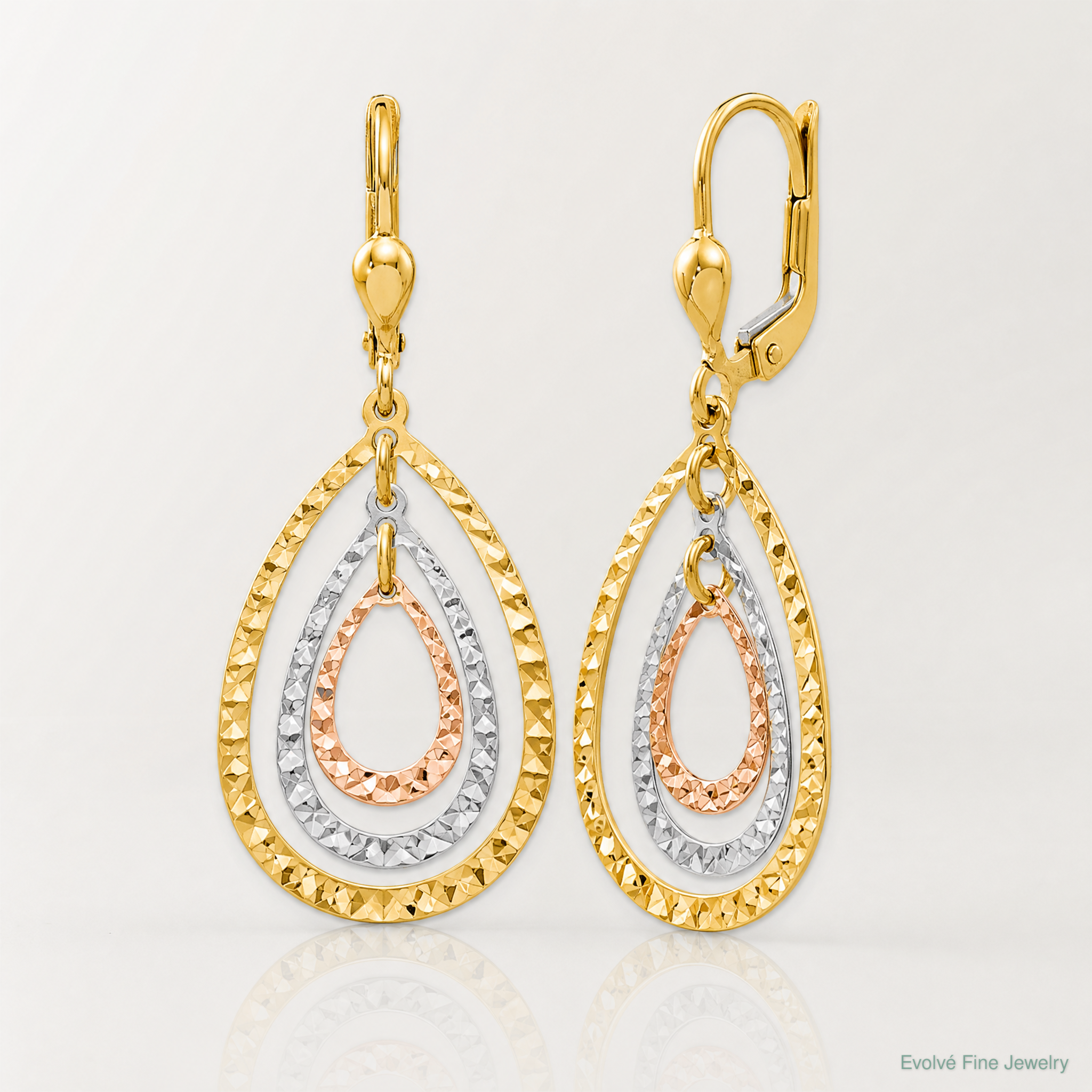 Leslie's 14K Tri-color Polished and D/C Leverback Earrings - Lifestyle View