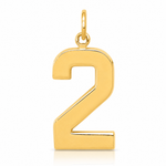 14k  Large Polished Number 2 Charm - Lifestyle View