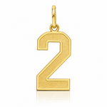 14k Medium Satin Number 2 Charm - Lifestyle View