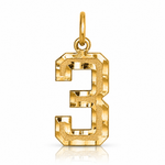14k Medium Diamond-cut Number 3 Charm - Lifestyle View