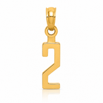14k Polished Number 2 Pendant - Lifestyle View