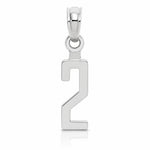 14kw Polished Number 2 Pendant - Lifestyle View