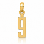 14k Polished Number 9 Pendant - Lifestyle View