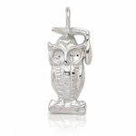 Sterling Silver Graduation Owl Charm - Lifestyle View