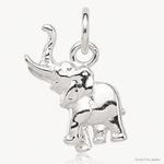 Sterling Silver Elephant Charm - Lifestyle View