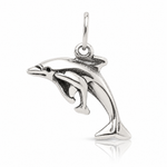 Sterling Silver Antiqued Dolphin w/Baby Charm - Lifestyle View
