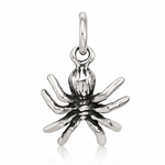 Sterling Silver Antiqued Spider Charm - Lifestyle View