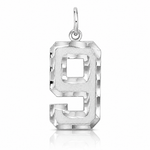 Sterling Silver Rhodium-plated Large Diamond-cut 