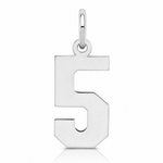 Sterling Silver/Rhodium-plated Polished Number 5 Charm - Lifestyle View