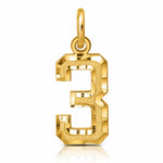 14k Small Brushed Diamond-cut Number 3 Charm - Lifestyle View