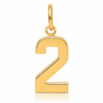 14k Small Polished Number 2 Charm - Lifestyle View